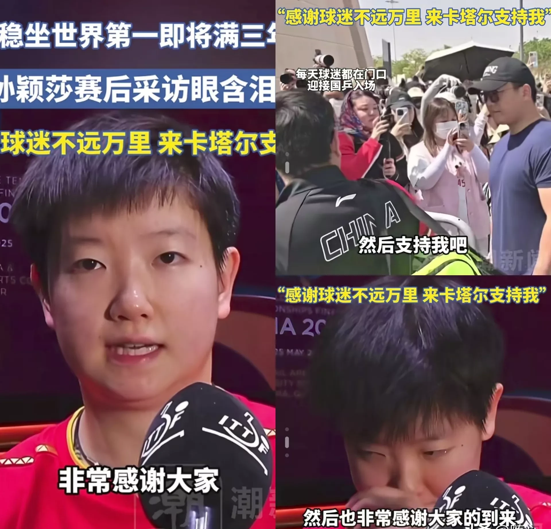  莎拉波娃最新新闻 